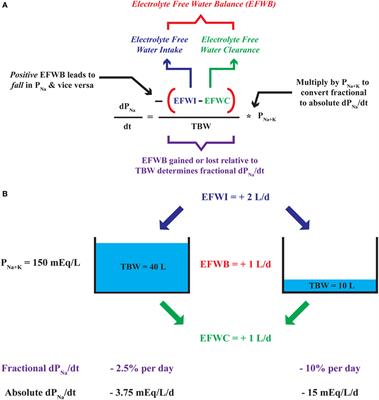 Using Electrolyte Free Water Balance to Rationalize and Treat Dysnatremias